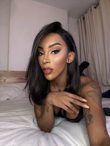 8533