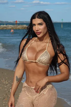 Lucibermu